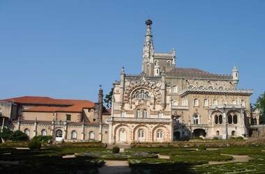 Mata Nacional do Bussaco