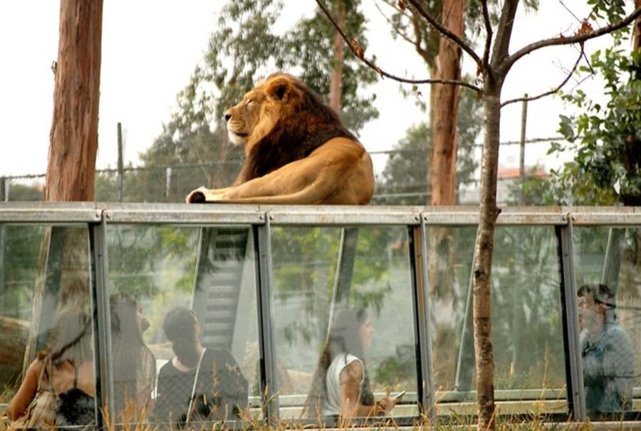 Zoo Santo Inácio